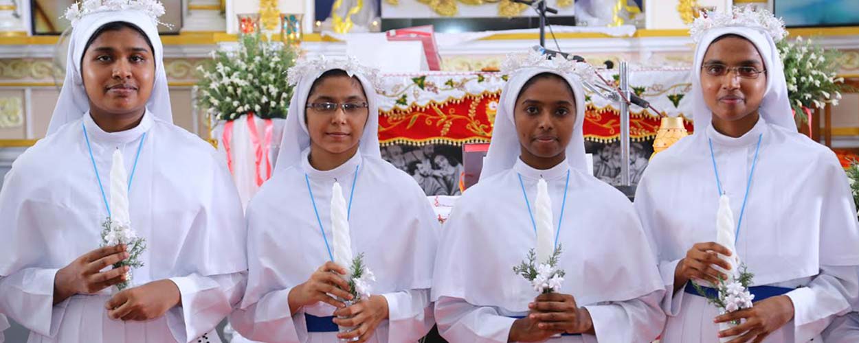 Ist Profession of Novices