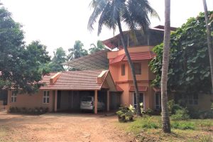 Optimized-20181129_105132 (1)